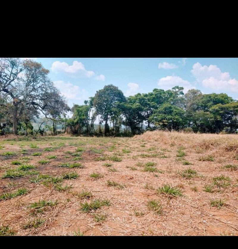 Terreno - Venda - Zona Rural - Varginha - MG